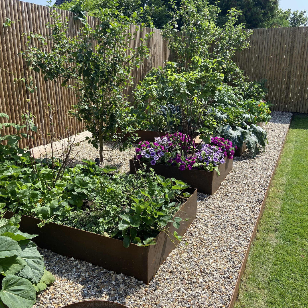 Was kannst du in Hochbeeten anbauen? Inspiration für Samen und Blumen