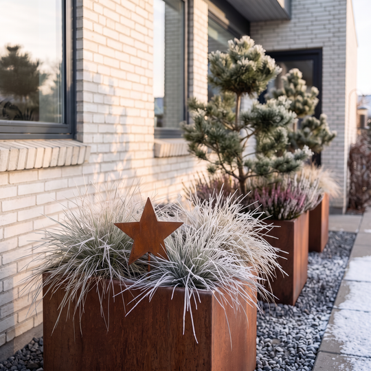 Stern-Gartenstecker mit ausgeschnittenem Stern in der Mitte zwischen frostbedeckten Pflanzen im Hochbeet.