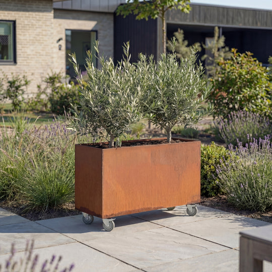Pflanzkasten mit Rädern