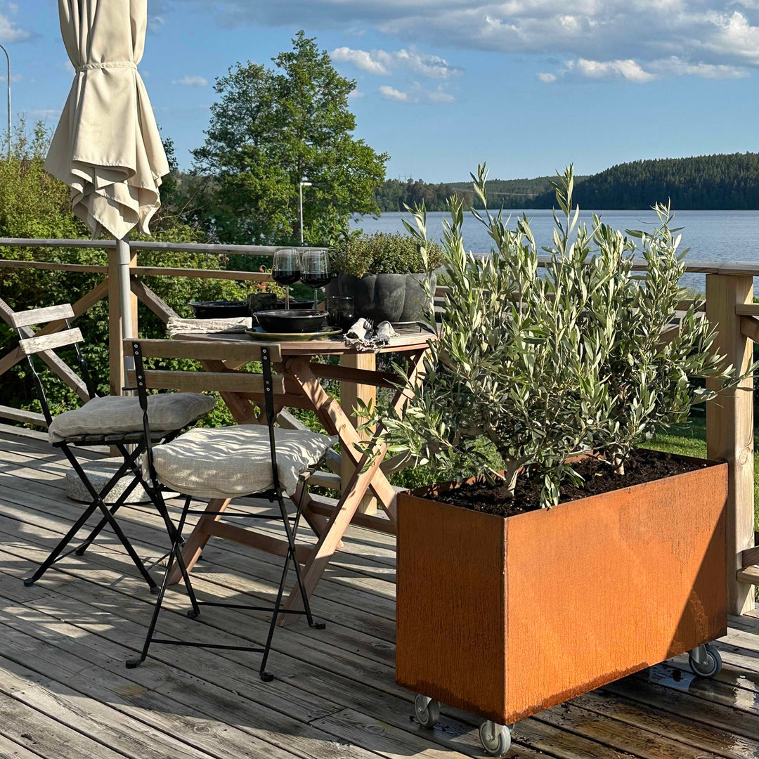 Pflanzkasten mit Rädern